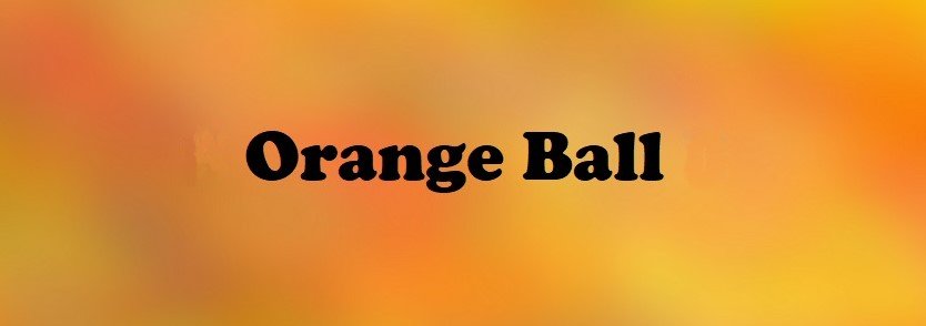 Final Play Day – Orange Ball